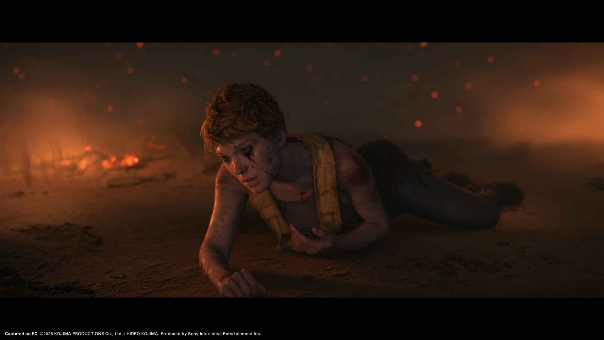 DS2PC_PreOrder_Screenshots002