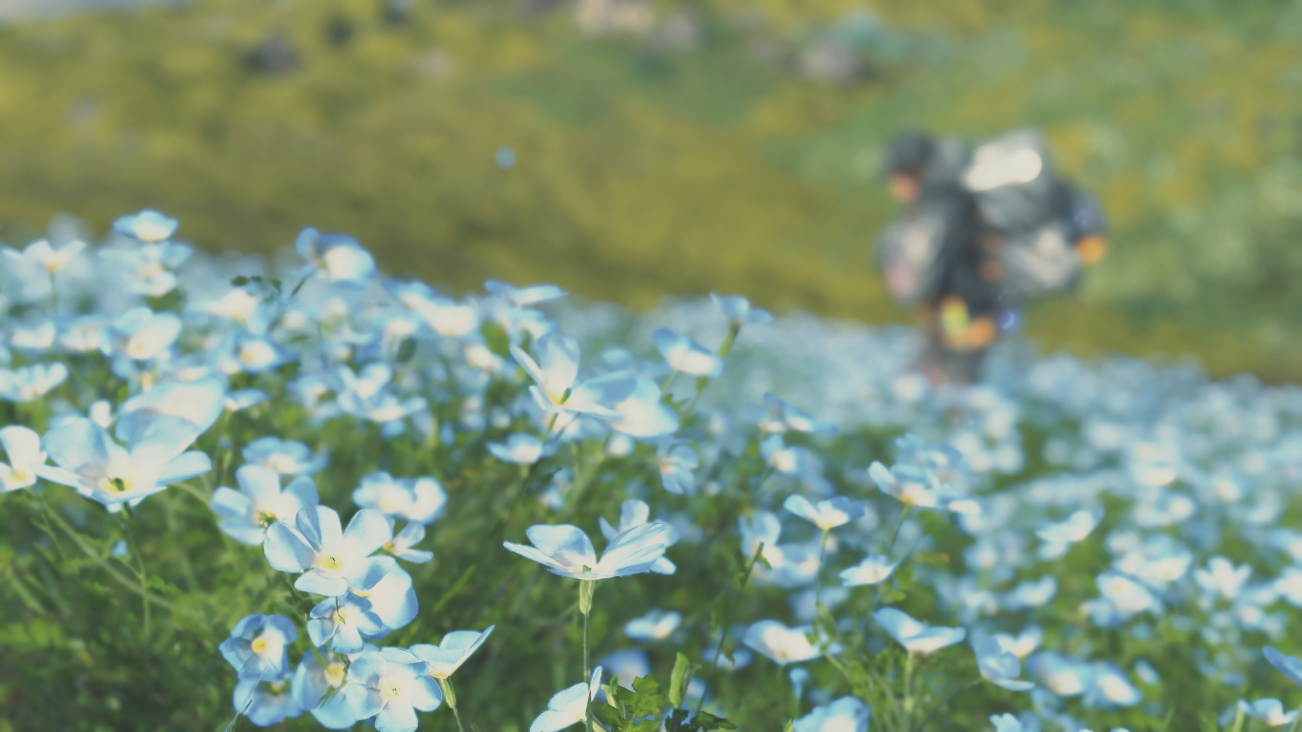 DSPhotomodeCP_Mar